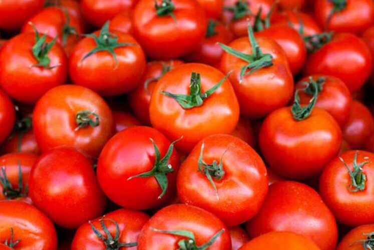 tomatoes-