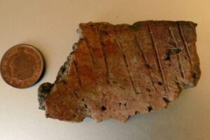 ڈریم آئلینڈ کے نام سے موسوم اسکوکولم جنوبی پیمبروکیشائر ساحل سے دو میل دور واقع ہے