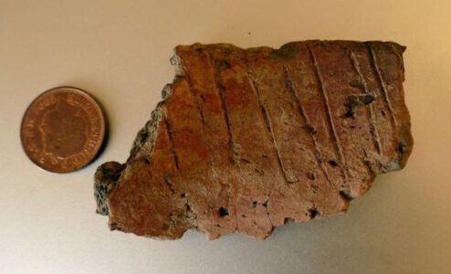 ڈریم آئلینڈ کے نام سے موسوم   اسکوکولم جنوبی پیمبروکیشائر ساحل سے دو میل دور واقع ہے