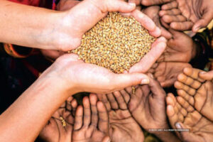 One-Country-One-Ration-Card