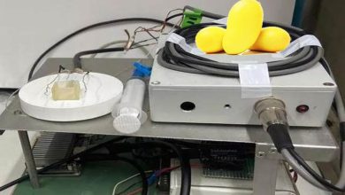 Plasma-Machine-Fruit