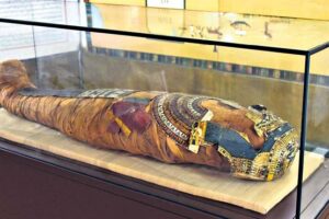 The mummy of Princess Nishuhu kept in a nitrogen glass enclosure, in the Archaeology Museum in the city. —Photo-Anand Dharmana