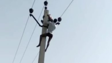 بزرگ کی شادی