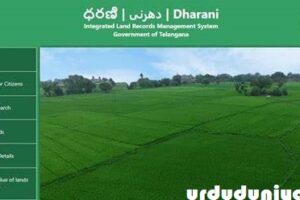 دھرانی پورٹل کو مزید بہتر بنانے نئے فیچرس کا اضافہ