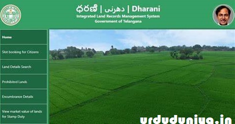 دھرانی پورٹل کو مزید بہتر بنانے نئے فیچرس کا اضافہ