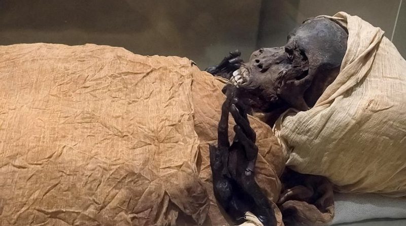 فرعون کے قتل