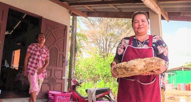 تھائی لینڈ میں ایک خاتون, اس وقت حیران و پریشان ہو گئی , جب اسے ساحل کنارے اپنے گھر کے پاس ۔ , وہیل مچھلی ,woman-becomes-rich-by-vomiting-millions-of-rupees-worth-of-whale-fish