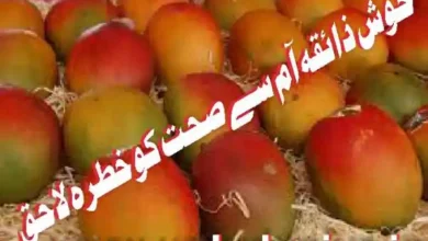 chemically ripened mangoes – a hidden danger