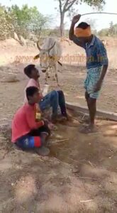 شرمناک واقعہ, معصوم لڑکوں کو ,آم کے باغ ,گوبر,آم کے باغ In the mango orchard, two minor boys were tied with ropes and fed dung