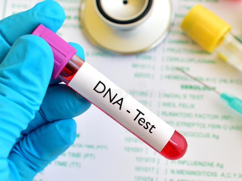 عصمت دری اور پوکسو ایکٹ کی دفعات