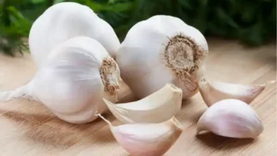 garlic fresh health benefits