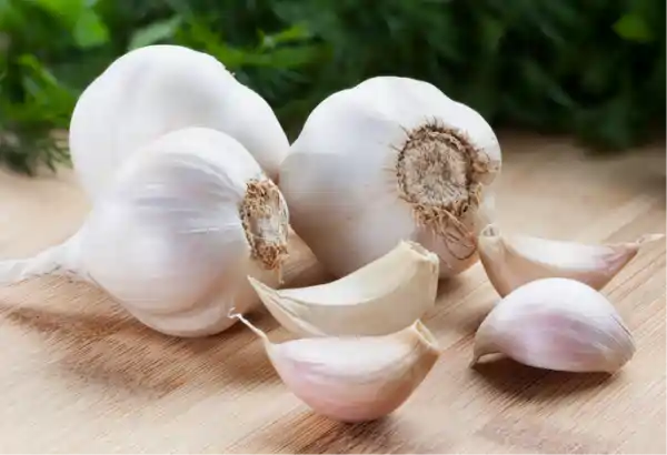 garlic fresh health benefits