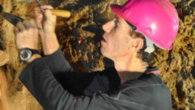 South African Cave Michael Chazan