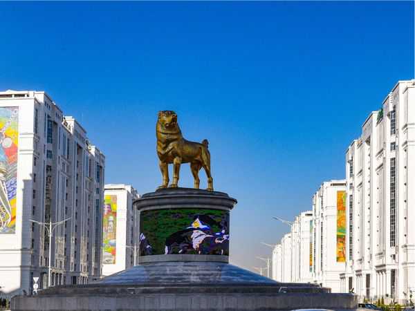 Turkmenistan president establishes national holiday to celebrate his favorite local dog breed