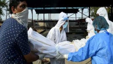 beed-dead-bodies8-burnt-on-one-pyre