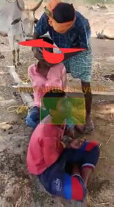 شرمناک واقعہ, معصوم لڑکوں کو ,آم کے باغ ,گوبر,آم کے باغ In the mango orchard, two minor boys were tied with ropes and fed dung