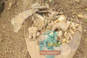 dafeena-gold-telangana