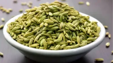 fennel summer benefits