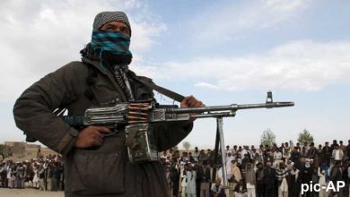 Afghanistan forces kill Taliban terrorists