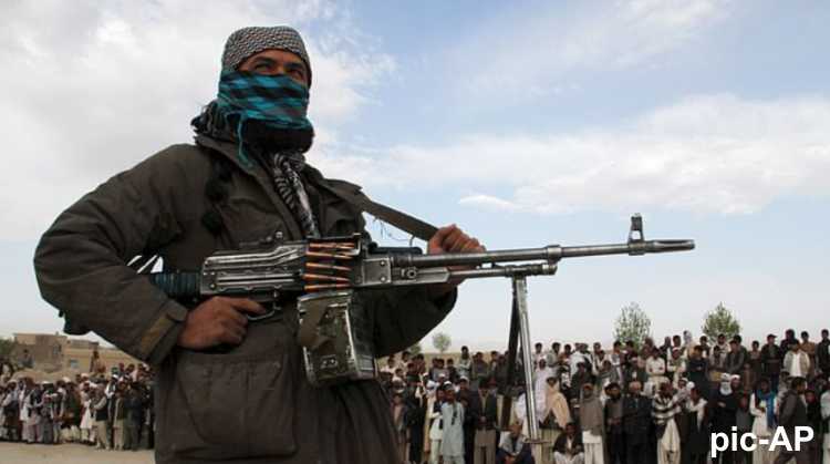 Afghanistan forces kill Taliban terrorists