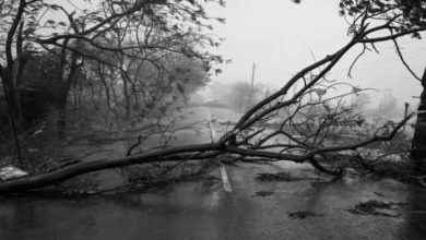 Cyclone Tauktae-twitter