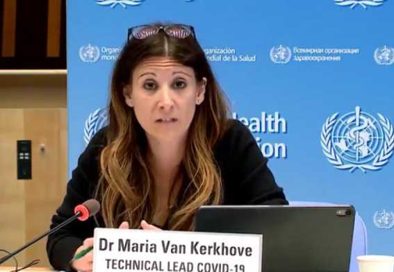 Maria DeJoseph Van Kerkhove