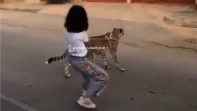 Girl roams with leopard on Saudi street