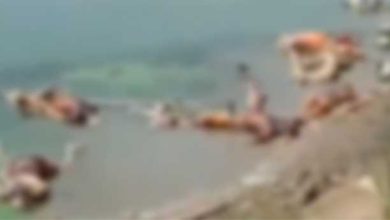 UP - After Bihar, floating bodies found in river in Madhya Pradesh