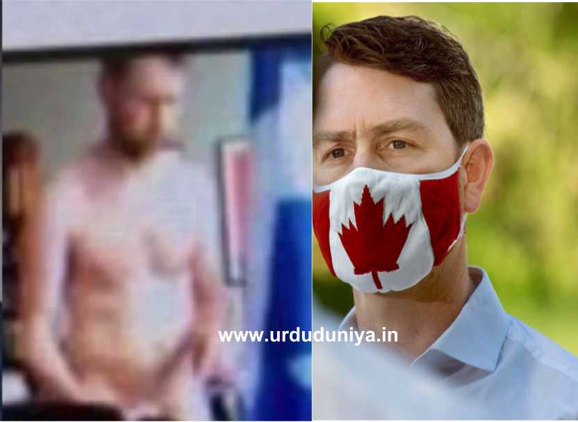 canadian-lawmaker-caught-naked-during-a-video-conference