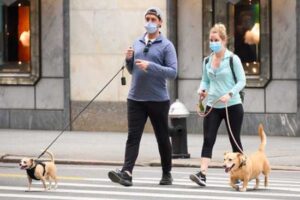 dogs-coronavirus-infections-Getty-images