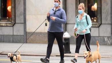 dogs-coronavirus-infections-Getty-images