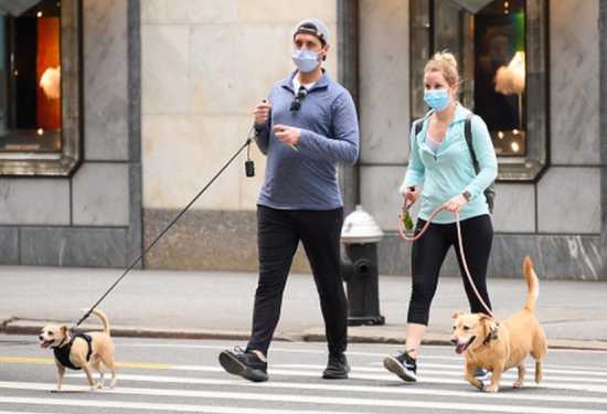 dogs-coronavirus-infections-Getty-images