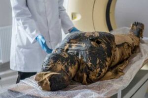 مصرمیں 'حاملہ' ممی