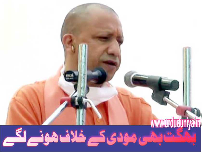 بھگت بھی مودی کے خلاف ہونے لگے