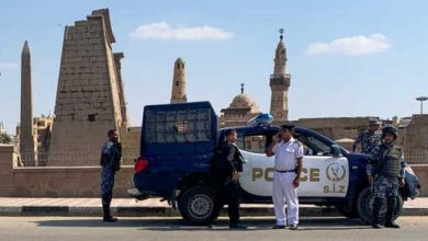 عرض-بيع-طفل-فيسبوك-الشرطة-المصرية-تقبض-مسجل-خطر