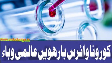 Corona virus: the twelfth global epidemic