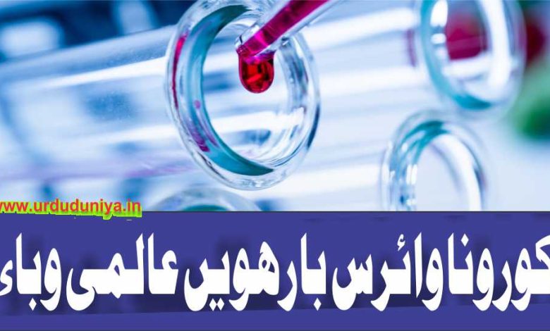 Corona virus: the twelfth global epidemic