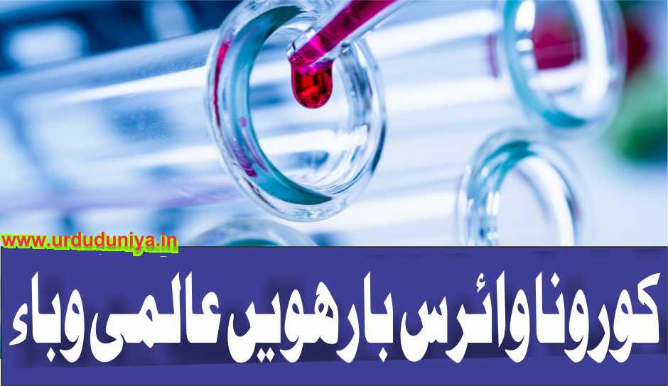 Corona virus: the twelfth global epidemic