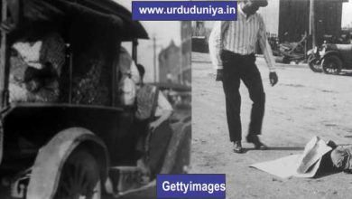 100-years-of-black-genocide-in-america-all-destroyed-in-an-instant