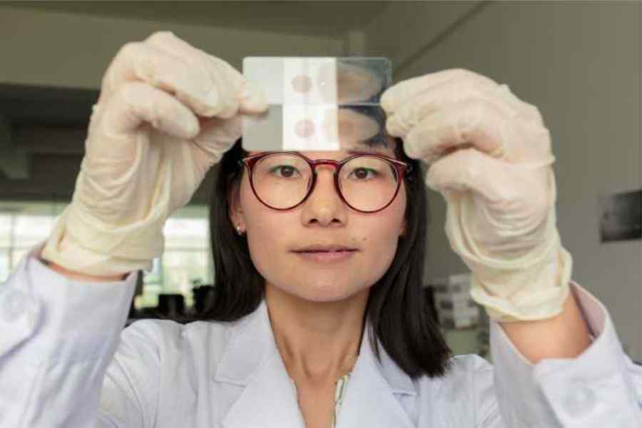 China is certified malaria-free by WHO