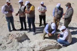 Geological Survey saudi