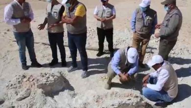 Geological Survey saudi