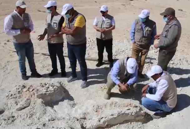 Geological Survey saudi