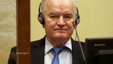 Ratko Mladic convictions