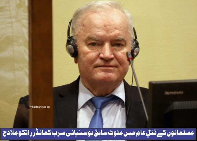 Ratko Mladic convictions