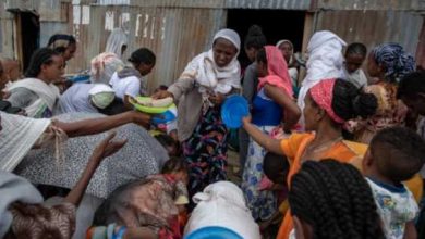 hungry Tigris of Ethiopia