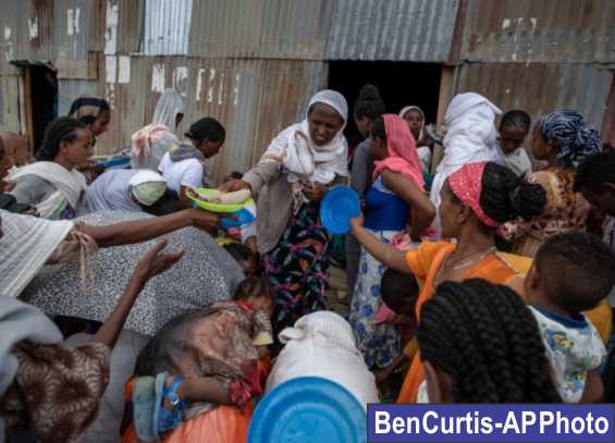 hungry Tigris of Ethiopia