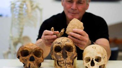 new-early-human-discovered-130-000-year-old-fossils-israeli