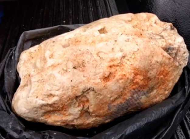 whale-vomit-Ambergris