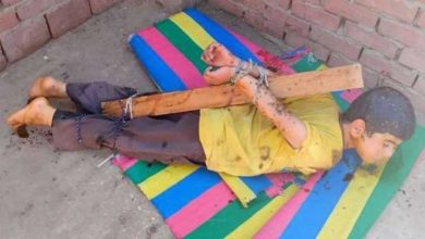 طفل-العسل-في-شبين-القناطر